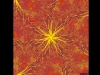 Neurone en couleurs